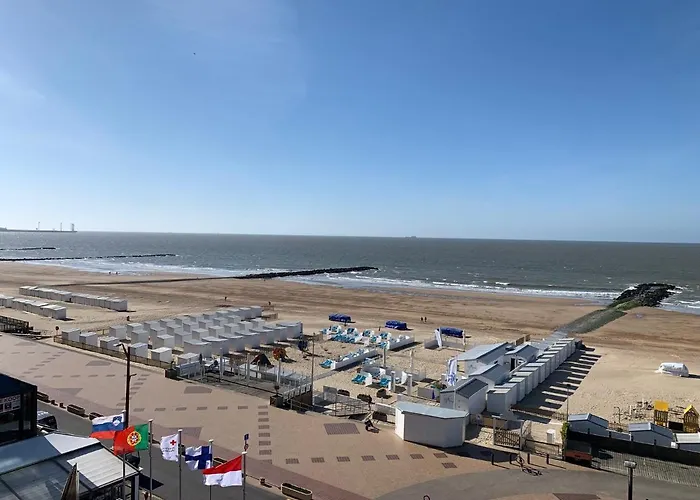 Sunny Studio With Seaview